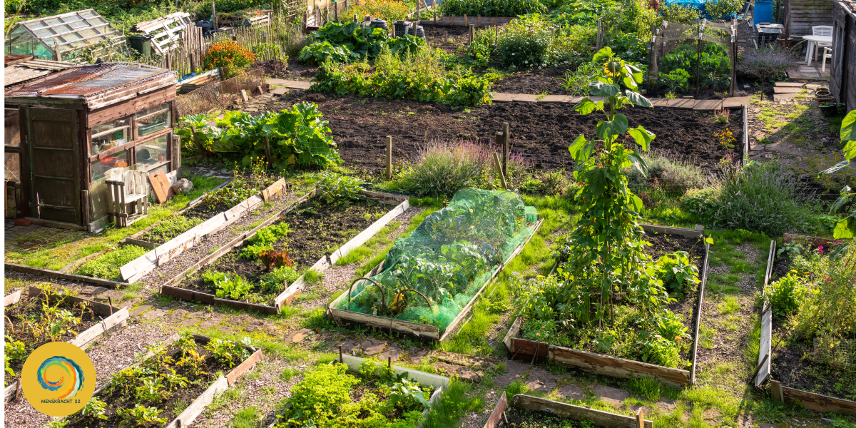 Sociale voedseltuin Doesburg